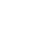 Prime Vault Self Storage Online Rental Icon