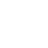 Prime Vault Self Storage Gated Icon